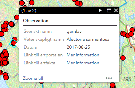 Exempel på hur det ser ut när man letar efter information i webbGIS. I bakgrunden syns en karta och framför kartan ligger en informationsruta.